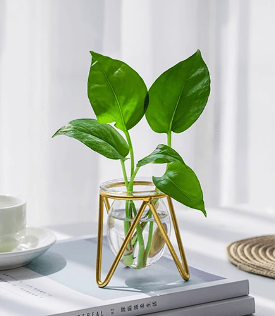 Creative Nordic living room home decorations TV cabinet small ornaments ins style office desktop flower arrangement - Tiracisu